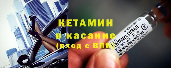 индика Богородицк