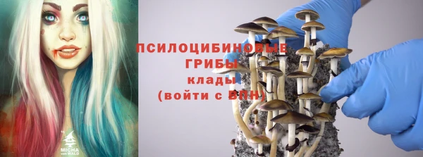 индика Богородицк