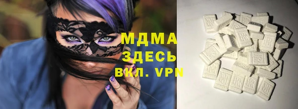 индика Богородицк