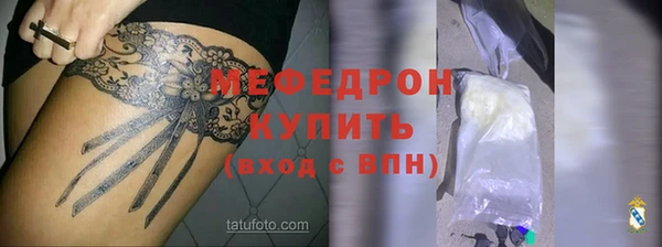 индика Богородицк