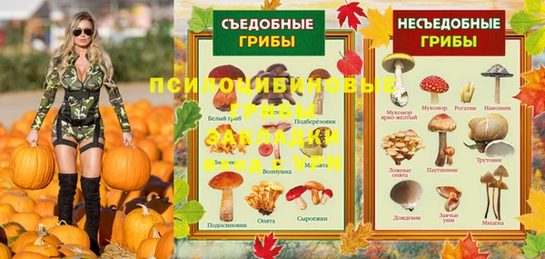 амф Богданович