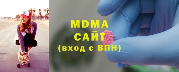 индика Богородицк