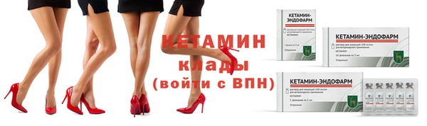 индика Богородицк