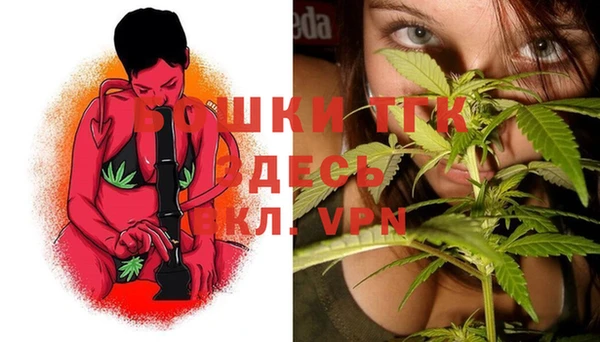 индика Богородицк