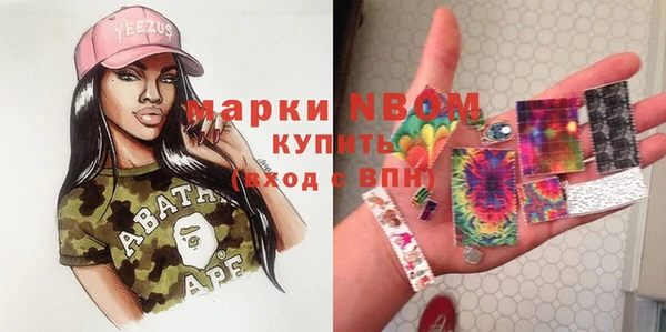 индика Богородицк