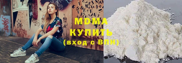 индика Богородицк