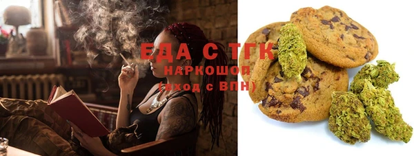 индика Богородицк
