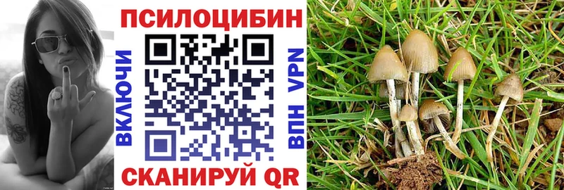 Галлюциногенные грибы Cubensis mega ТОР Реж
