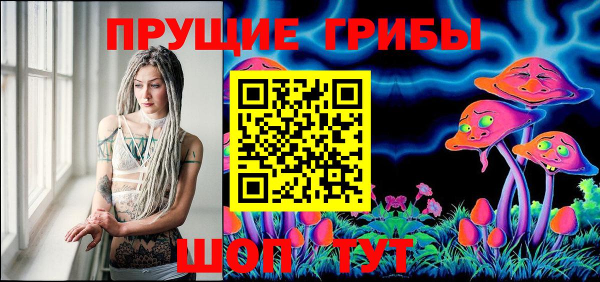 Галлюциногенные грибы Psilocybe Реж