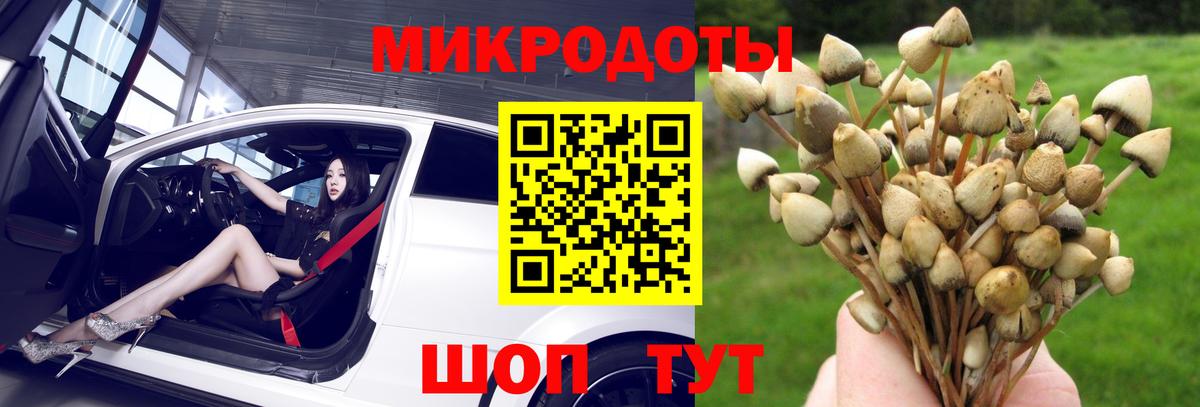 Реж  Галлюциногенные грибы мухоморы  Вход с VPN 