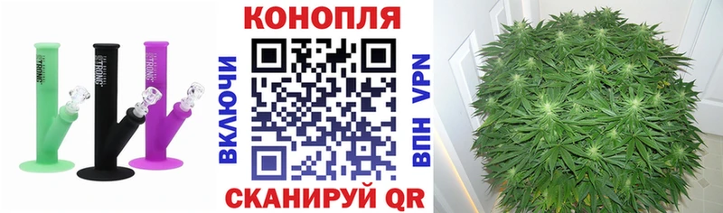 Конопля ГИДРОПОН  Реж 